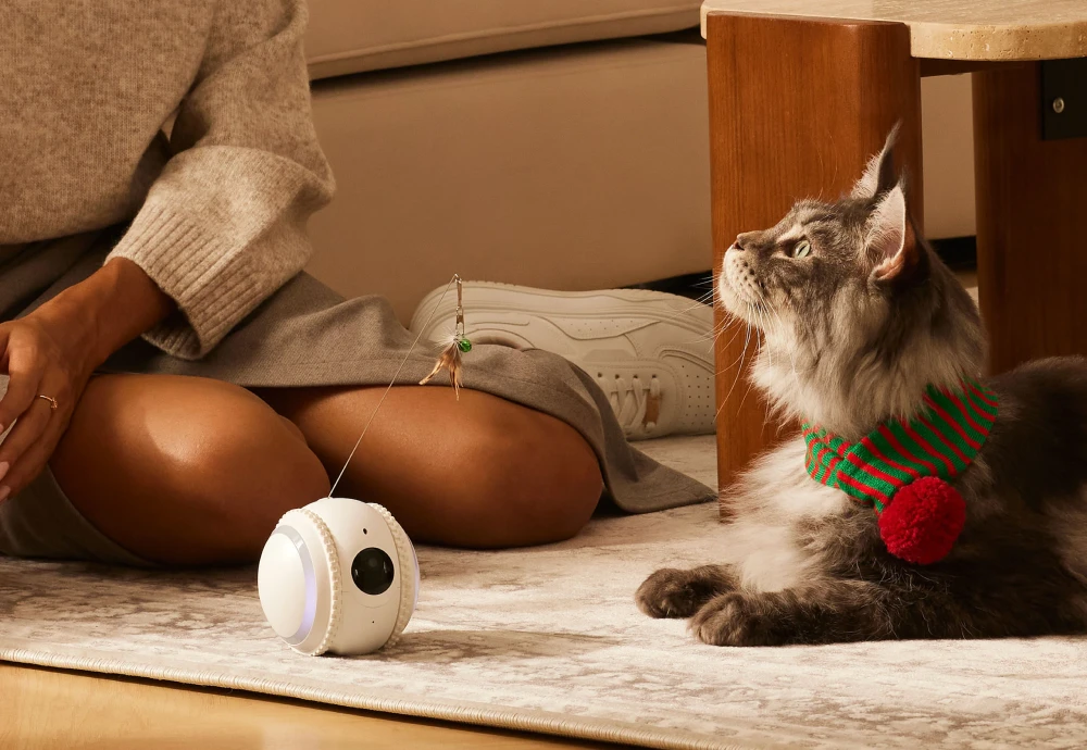 best indoor camera for watching pets